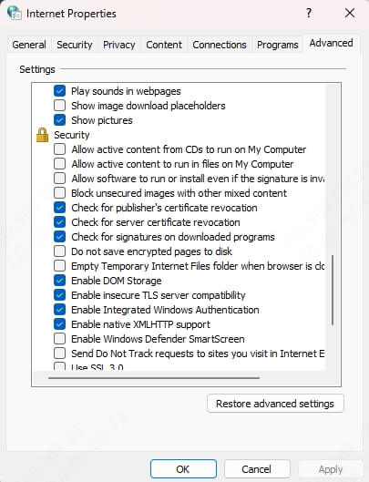 internet-property-security-settings