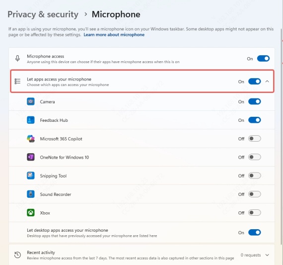 enable-app-microphone-access