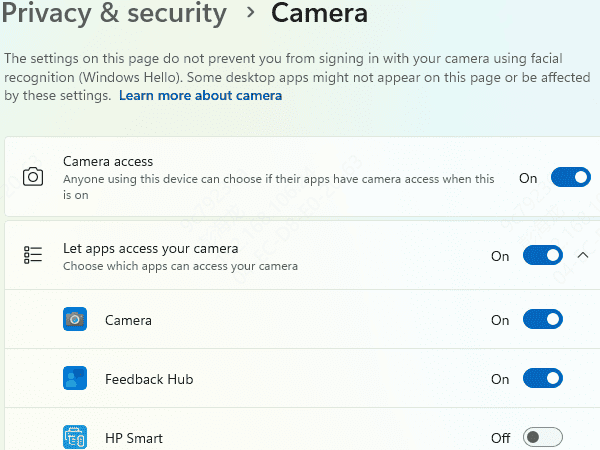 privacy-camera-setting